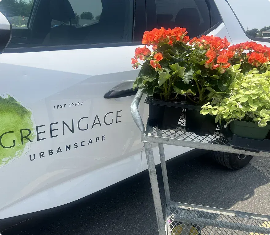 greengage urbanscape values

