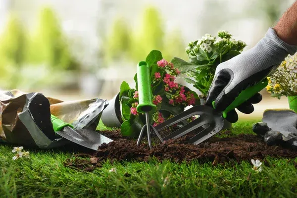 awn and flower bed services in brooklyn ny