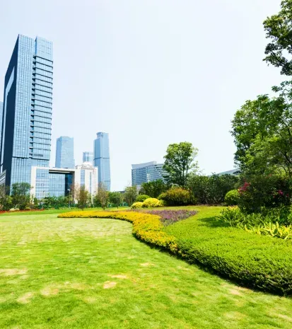 Professional lawn care company in Brooklyn, New York