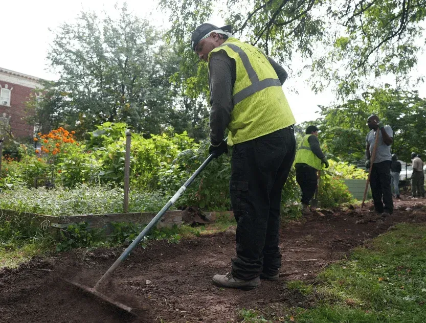 leaf removal services brooklyn ny