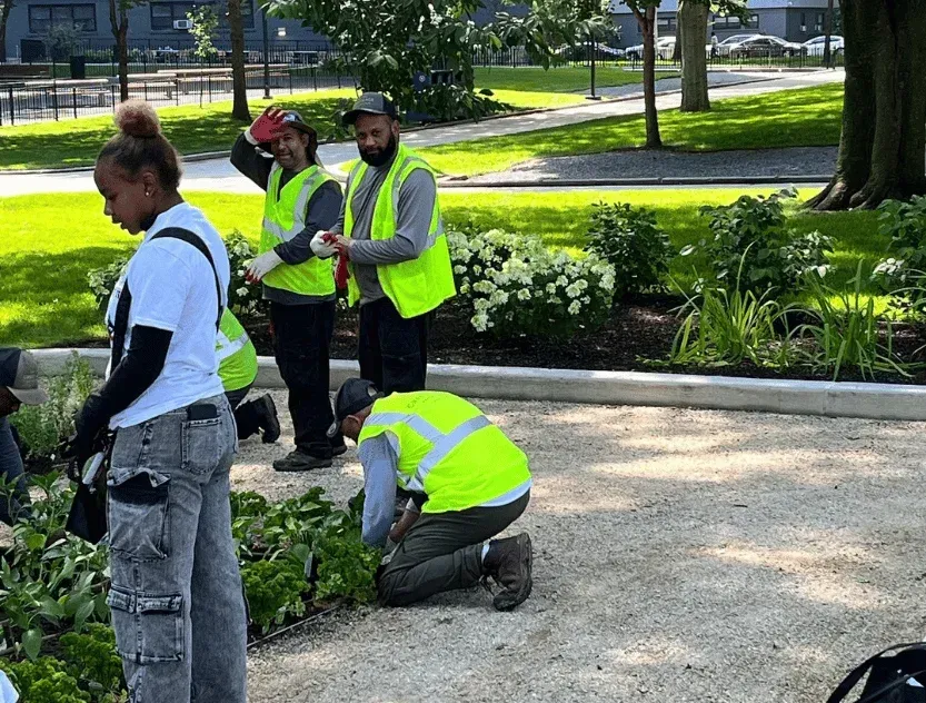 overgrown yard cleanup brooklyn ny