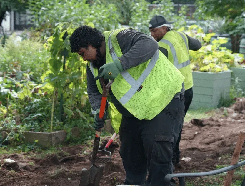seasonal yard cleanup brooklyn ny