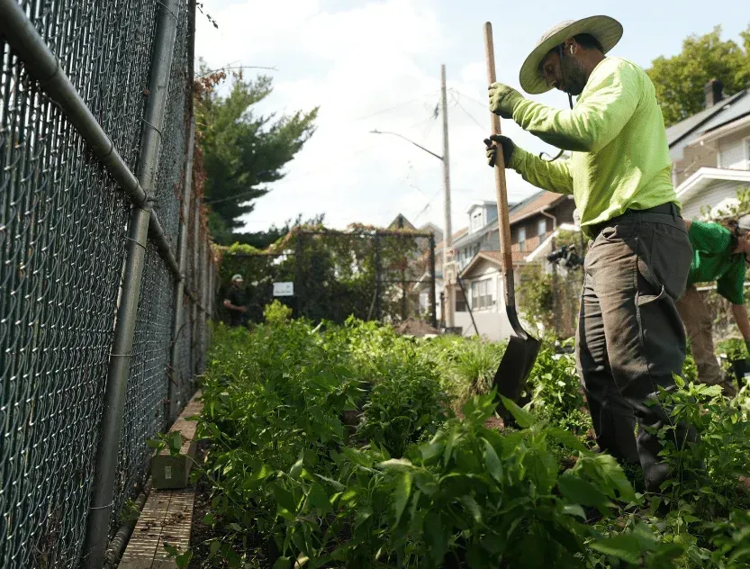 spring yard cleanup brooklyn ny