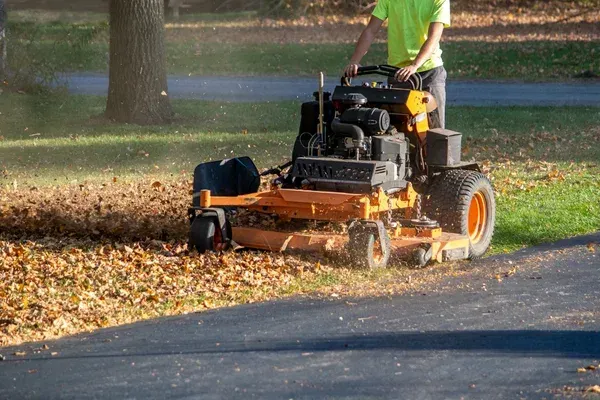 yard cleanup services in brooklyn ny