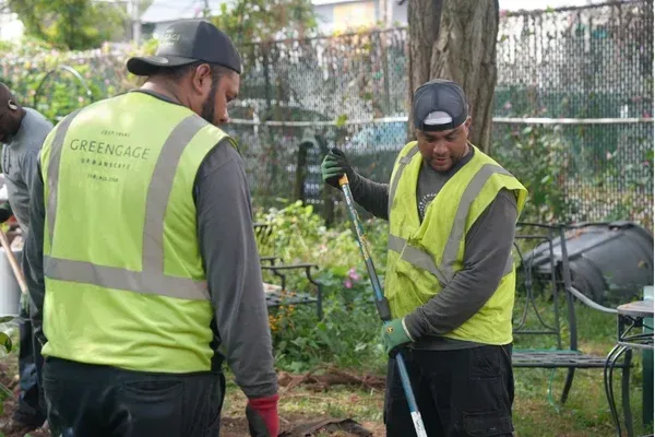 yard cleanup specialists in brooklyn ny