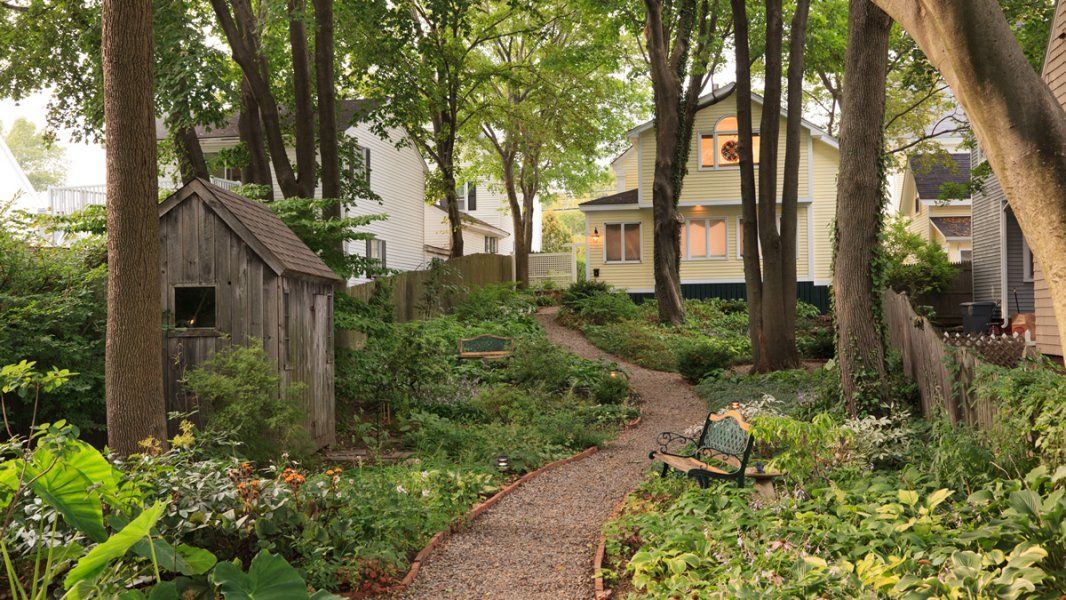 A path leading to a house through a lush green forest.