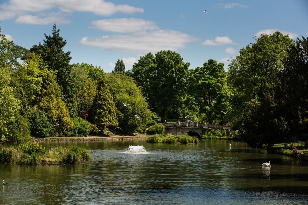 A Lake in a Park With Trees — Freedom Wealth Solutions In Cheltenham, VIC