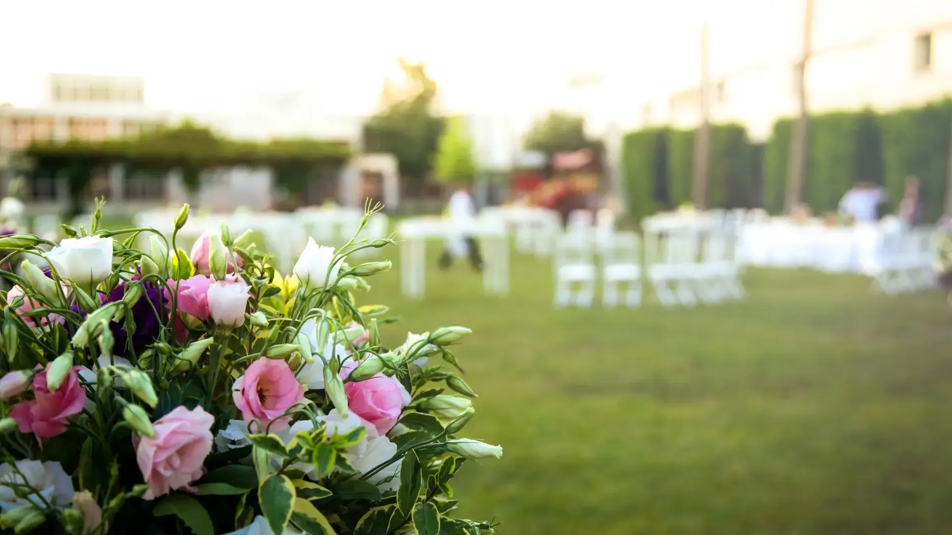 A bunch of flowers are sitting on top of a lush green field.