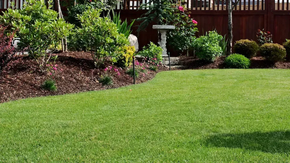 A lush green lawn with a bird bath in the middle of it.