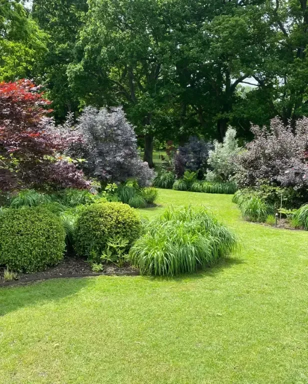 A lush green lawn surrounded by trees and bushes on a sunny day.