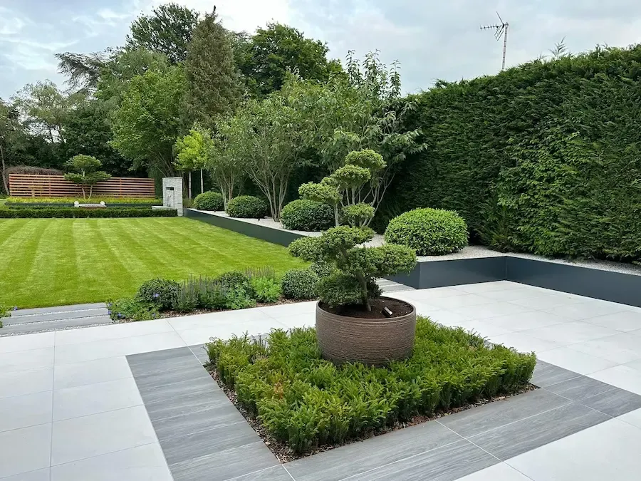 There is a potted plant in the middle of the garden.