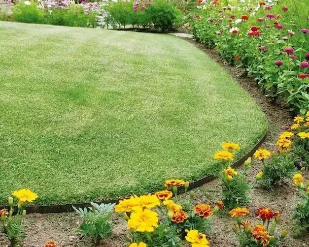 EverEdge NZ Garden Bed Edging in a Kiwi Garden