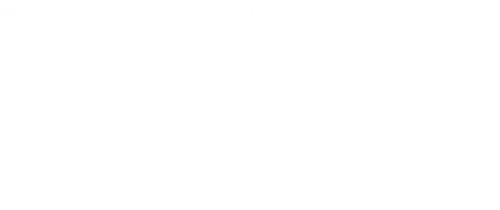 EverEdge NZ logo