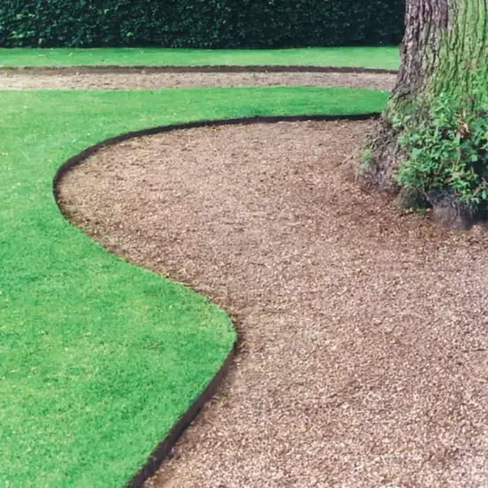 There is a tree in the middle of a lush green lawn.