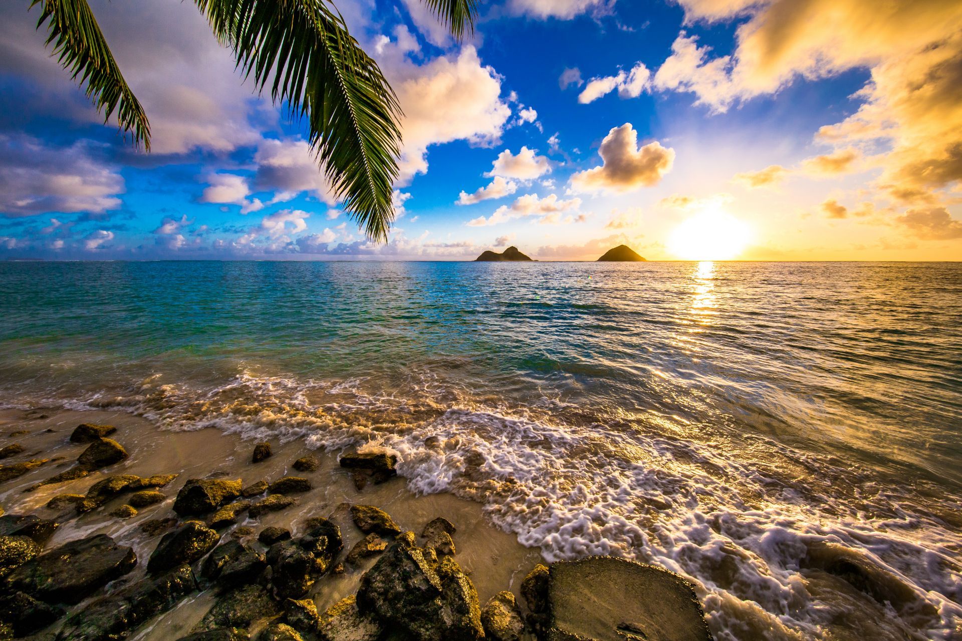 Hawaii beach