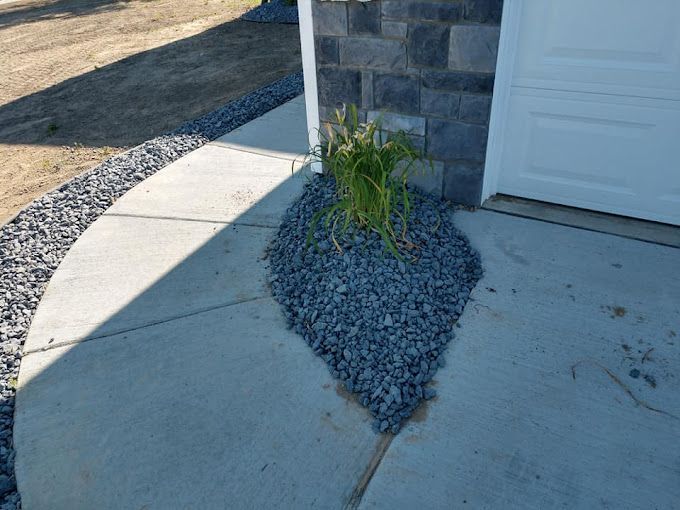 A small plant is growing in the middle of a concrete walkway next to a garage door.
