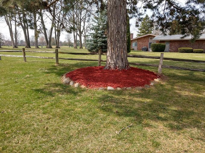 A tree in a yard with red mulch around it