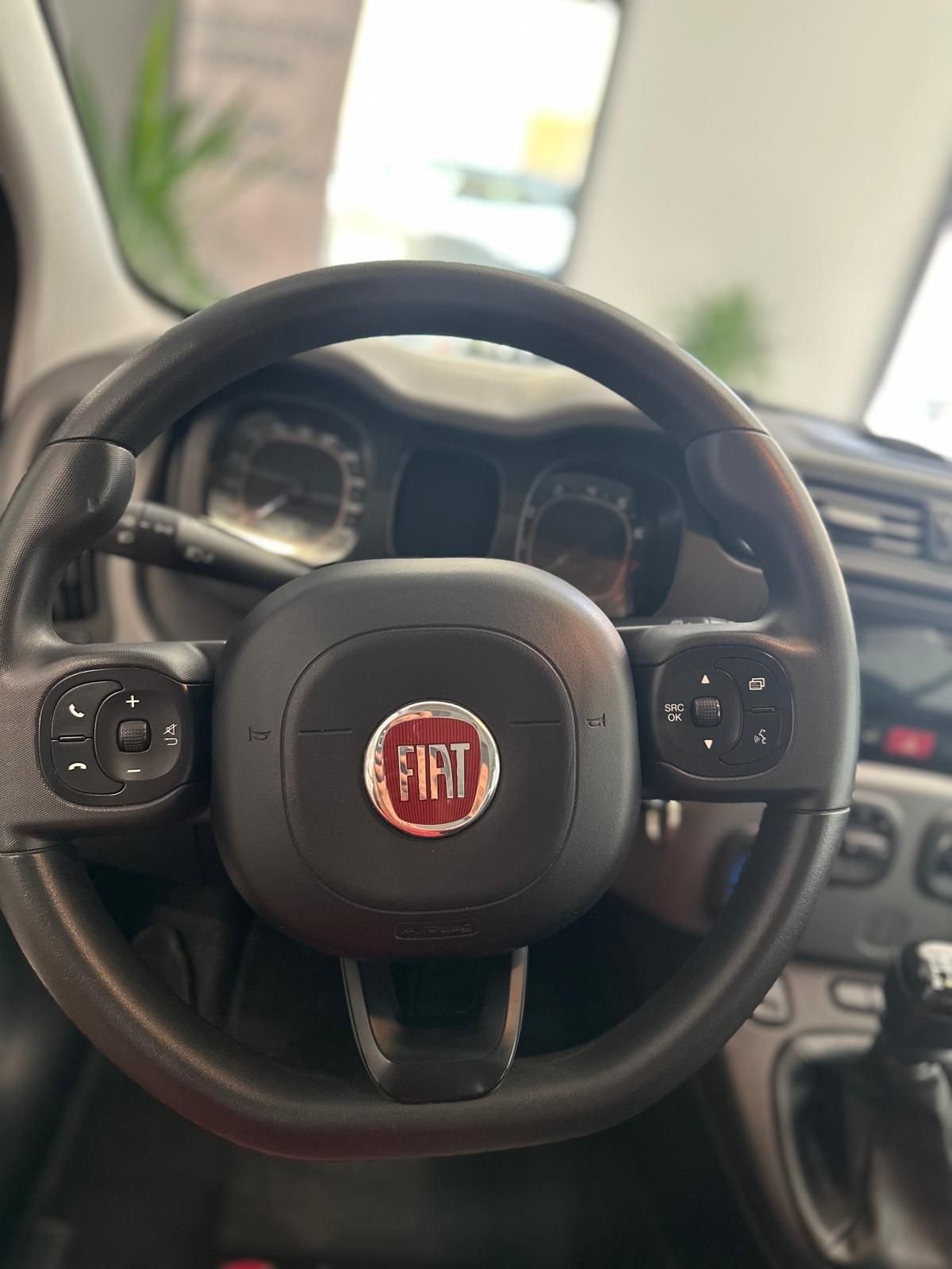 Un primo piano del volante di un'auto Fiat