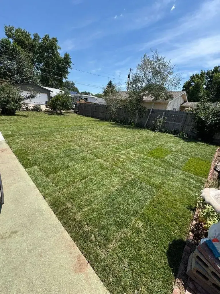 Green lawn in a backyard, blue sky overhead. Trees and a fence in the background, concrete patio in the foreground.