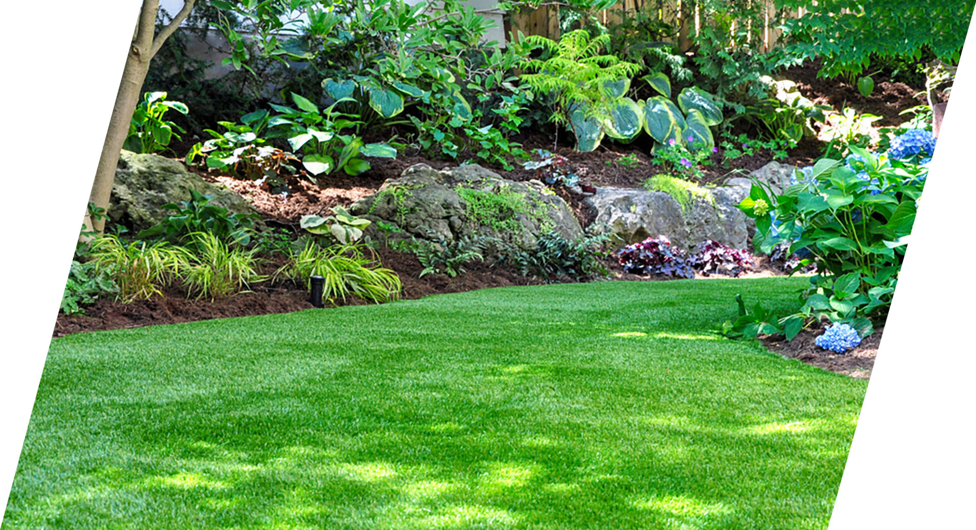 Lush green lawn with a landscaped garden bed featuring rocks, various plants, and greenery.