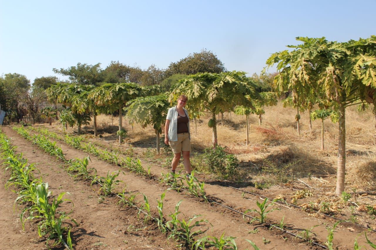 A woman is standing in a field of plants.