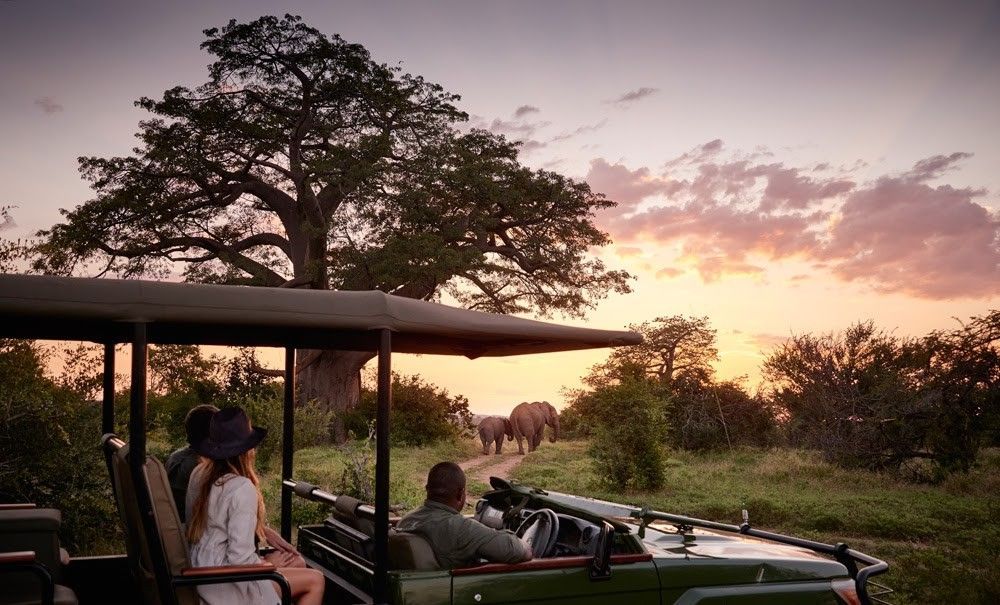 A group of people are sitting in a jeep watching elephants at sunset.