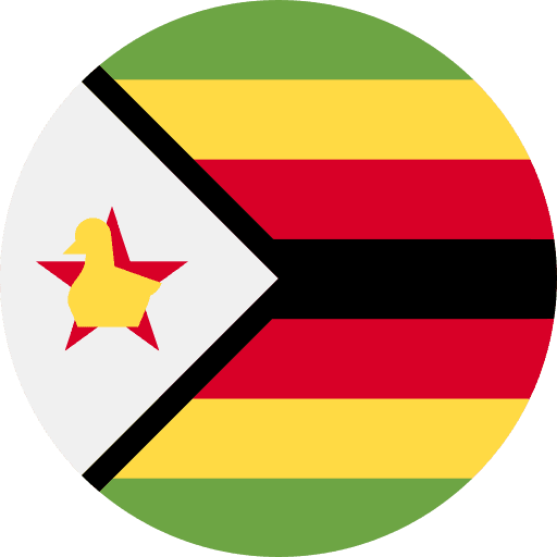 The flag of zimbabwe has a yellow star on it
