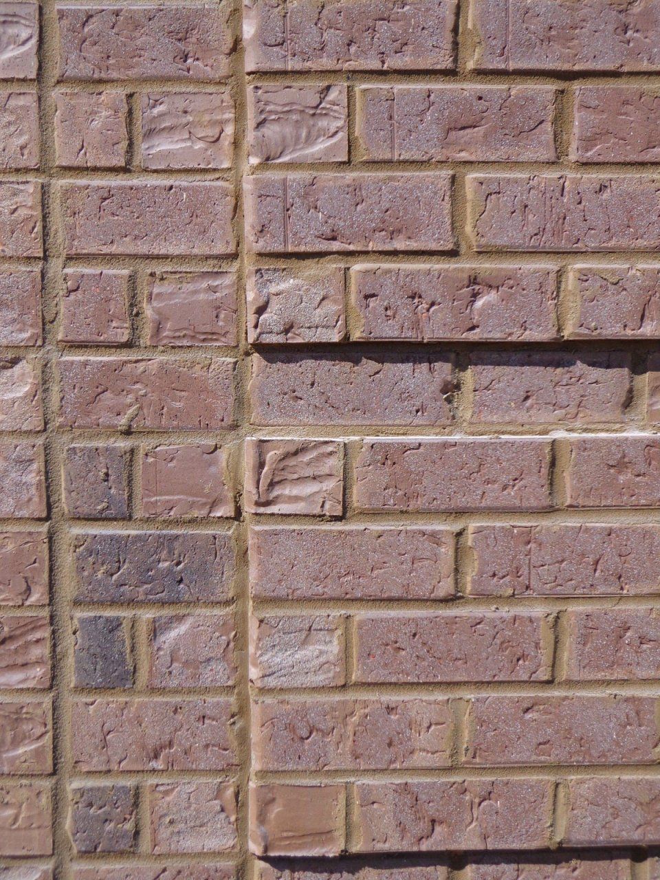 Low Country Blend Palmetto Brick