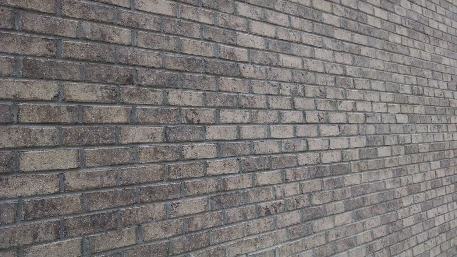 Onslow Palmetto Brick