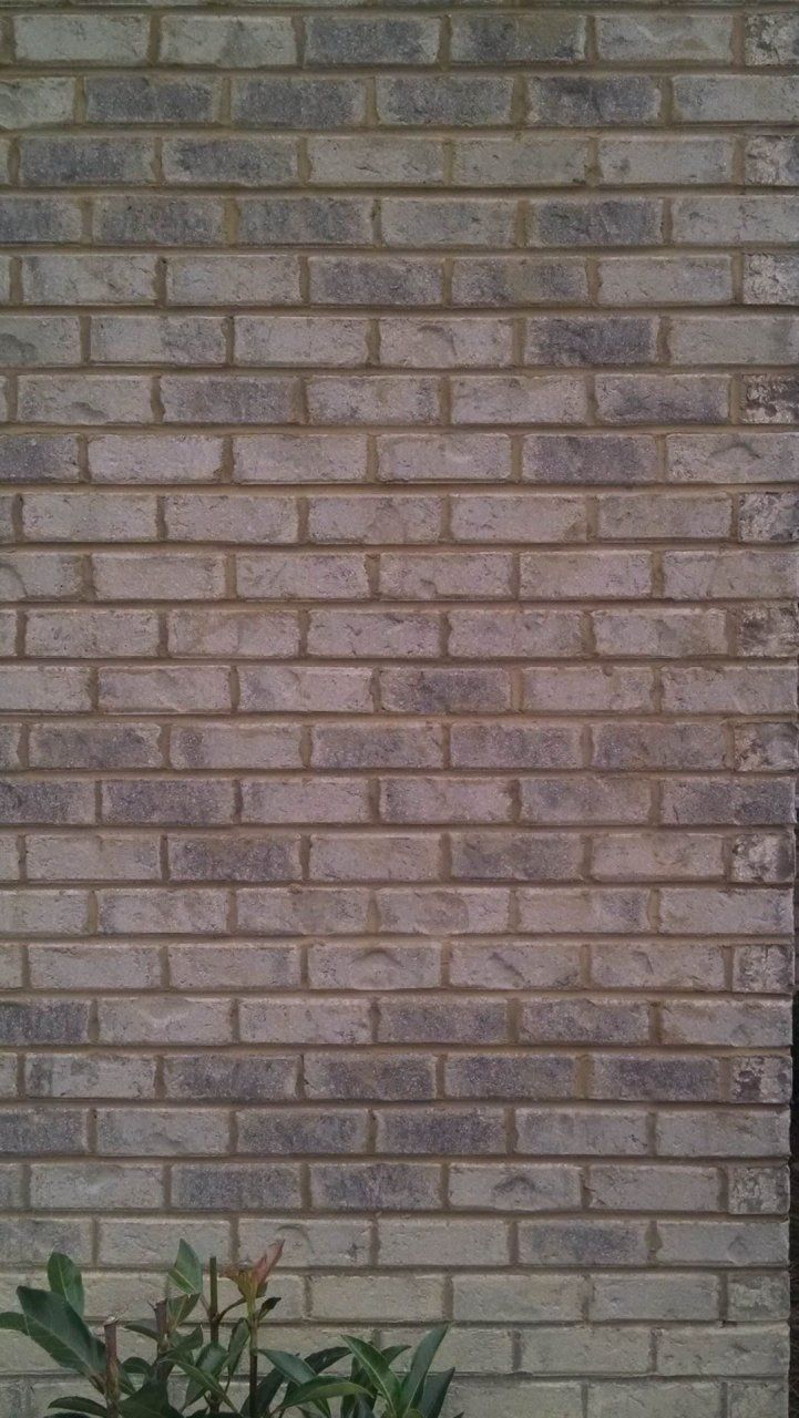 Onslow Palmetto Brick