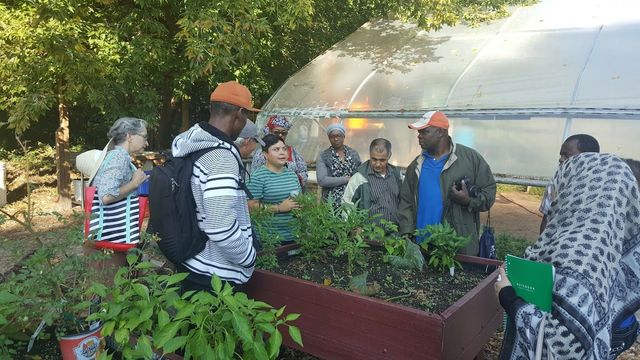 Downtown Ypsilanti Farmers' Market photo 3