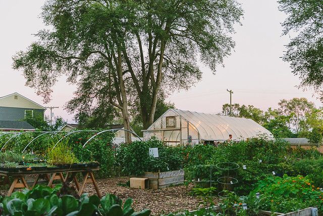A greenhouse is surrounded by lots of plants in a garden.