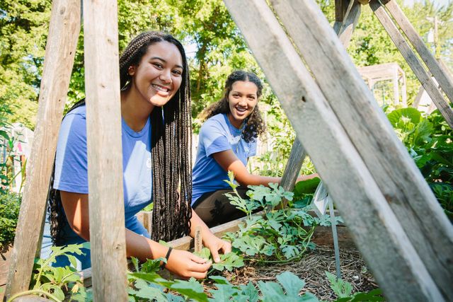 Downtown Ypsilanti Farmers' Market photo 20
