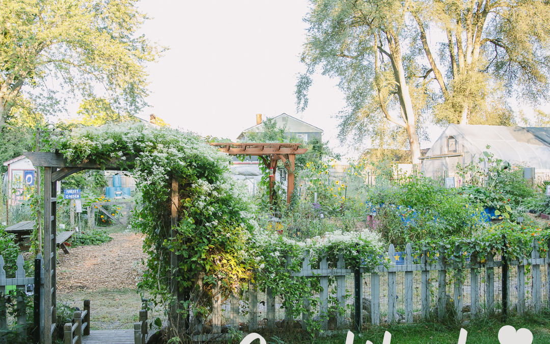 A white picket fence surrounds a garden with trees and flowers.