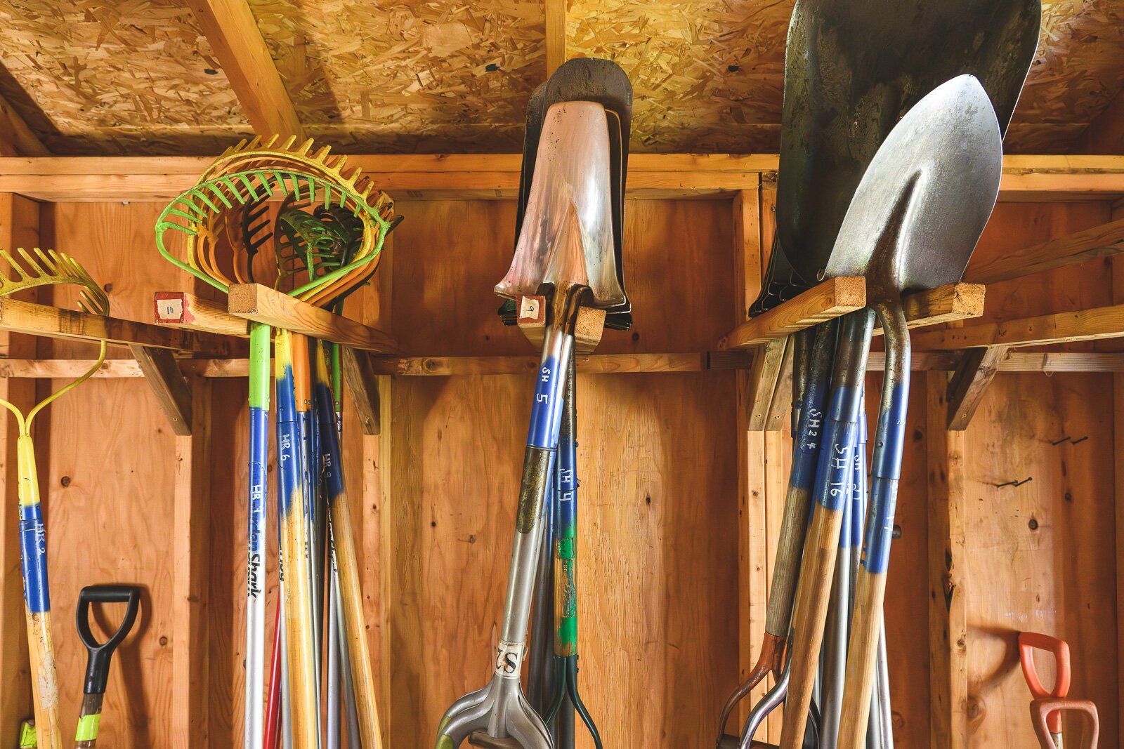 A bunch of gardening tools are hanging on a rack in a shed.