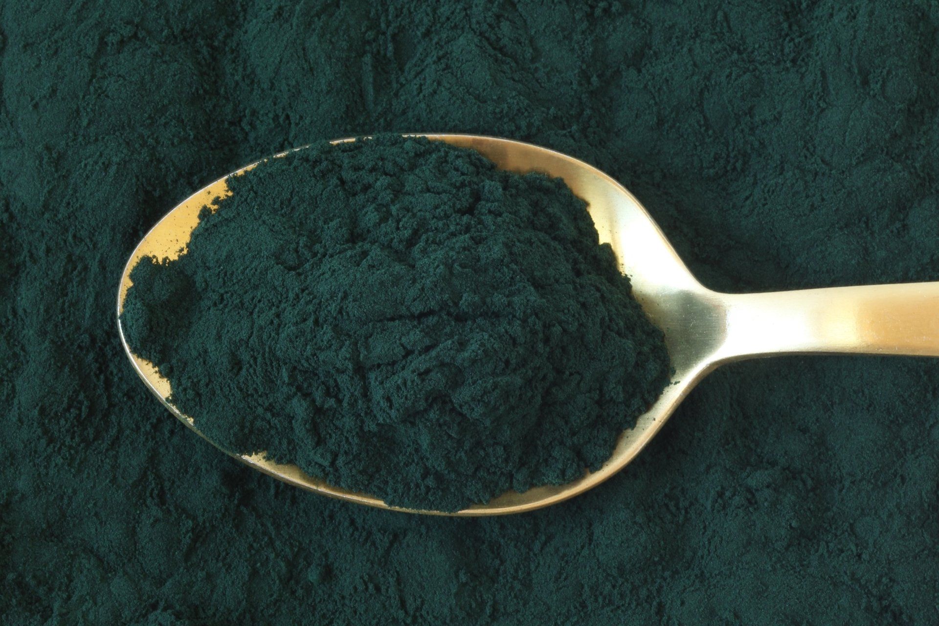 alga spirulina in polvere