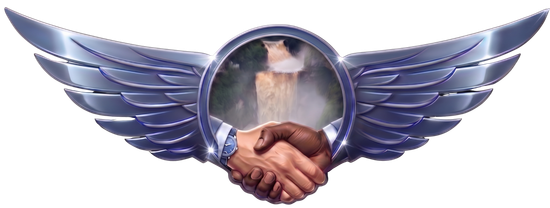 Sakiaka Services, Inc. logo.