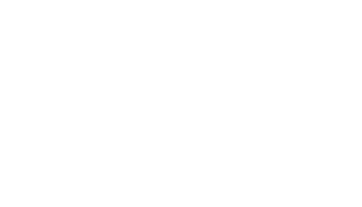 Sakiaka Services, Inc. logo.