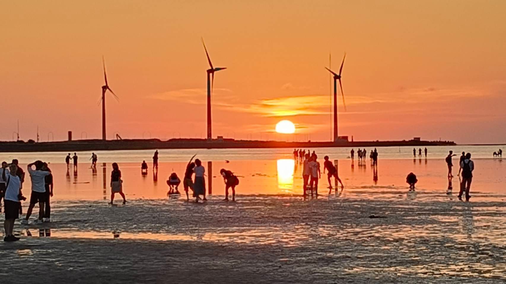 高美濕地位於台中市清水區,是一個擁有豐富生態的濕地,面積約701.3公頃。這裡以其壯觀的夕陽而聞名,被譽為世界最美的夕陽觀賞地之一。每年秋冬季節,許多候鳥會在此棲息,成為重要的生態保護區。