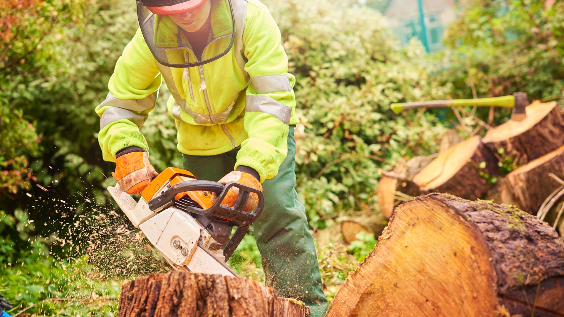 Grinding a Stump — Moorefield, WV — Rodriguez Tree Service