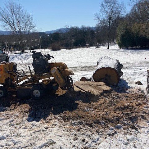 Grinding a Big Stump — Moorefield, WV — Rodriguez Tree Service