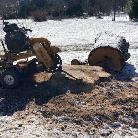 Grinding a Huge Stump — Moorefield, WV — Rodriguez Tree Service