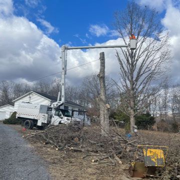 Removing Two Trees — Moorefield, WV — Rodriguez Tree Service