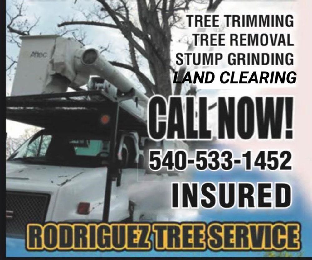 Business Flyer — Moorefield, WV — Rodriguez Tree Service