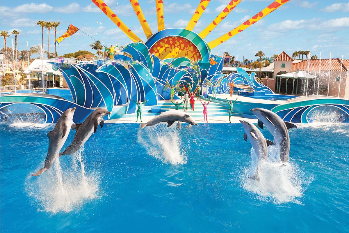 Dolphin Show