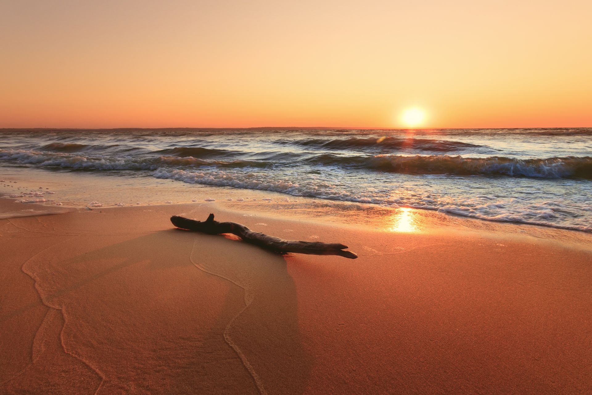 Picture of a piece of wood debris on an Amelia Island beach
