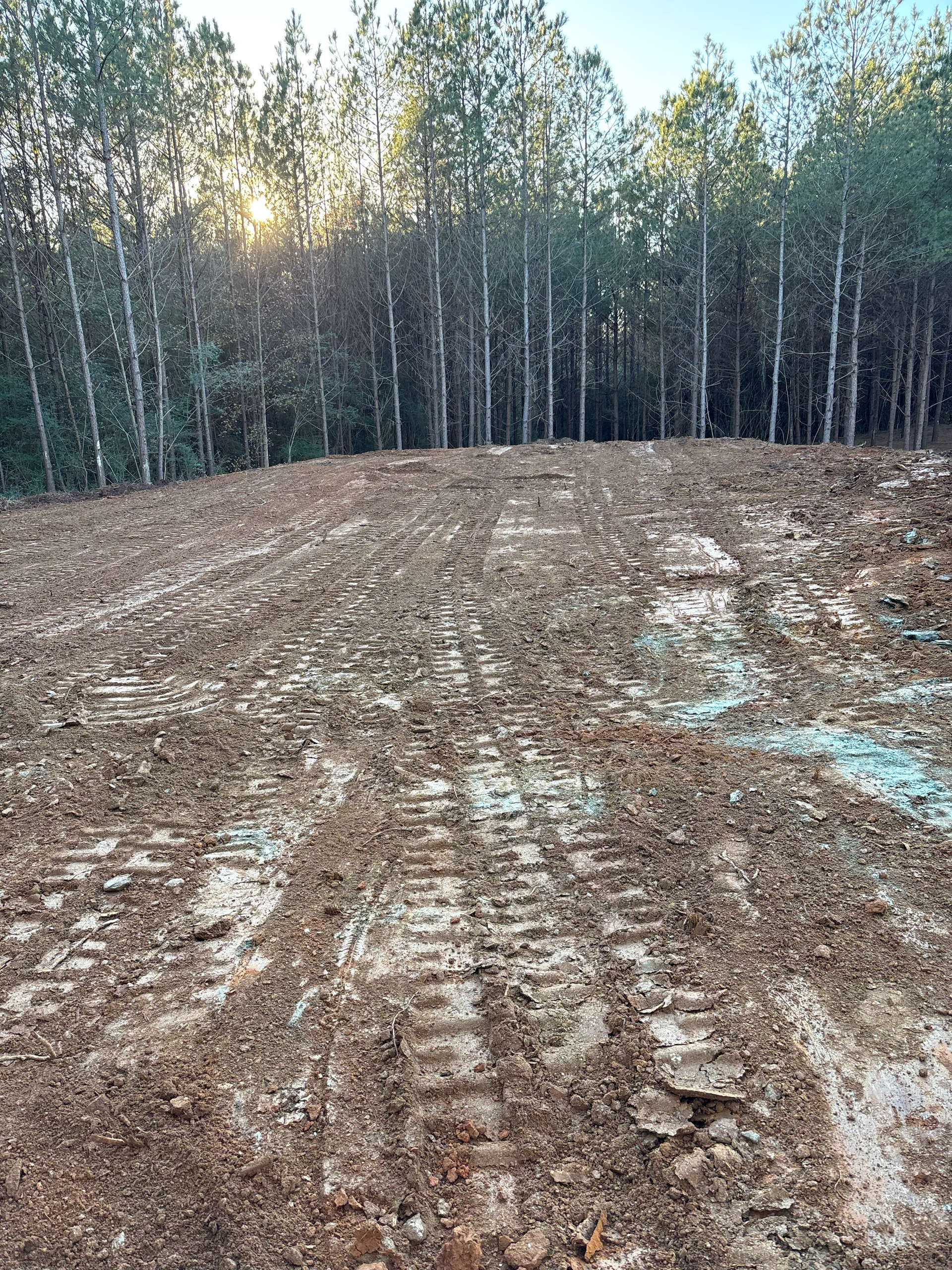 Freshly cleared, muddy ground with deep tire tracks leading toward a dense line of pine trees under a sunny sky.
