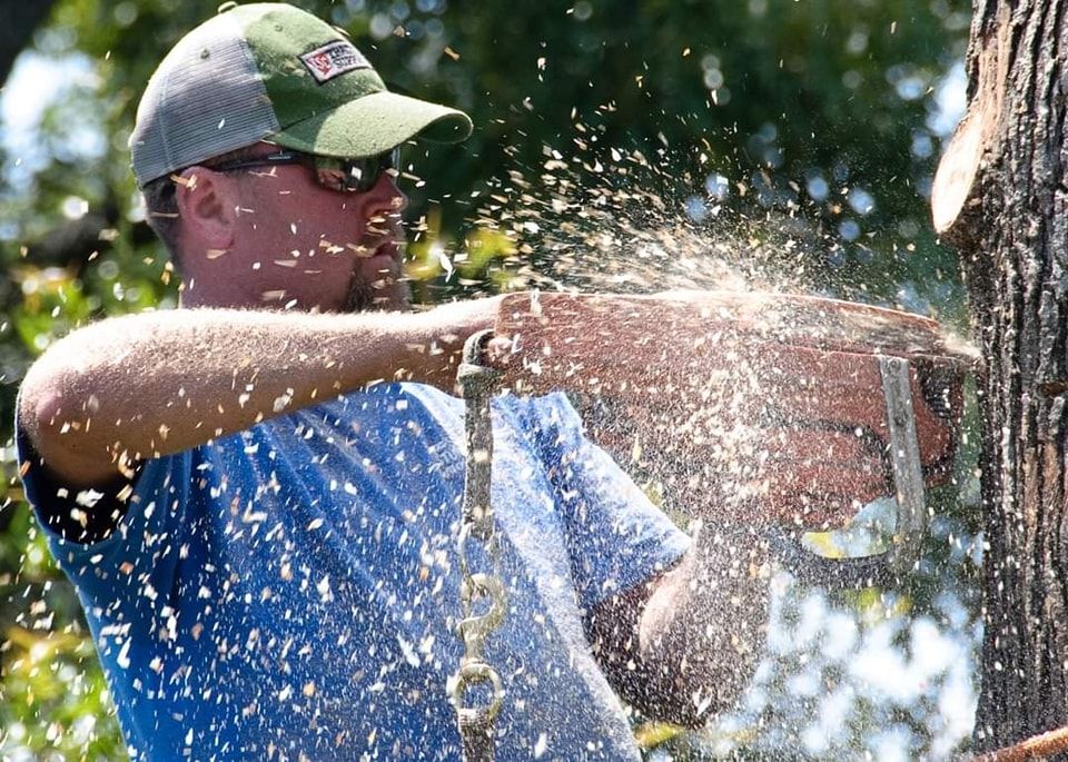 Man wearing cap and sunglasses uses chainsaw, wood chips flying.