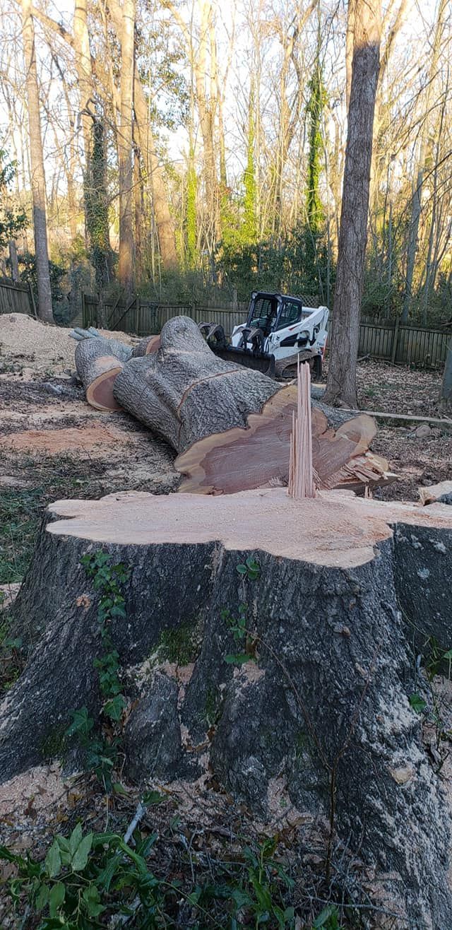 Tree stump with a wooden object stuck in it, fallen log, and a small machine in a forest.