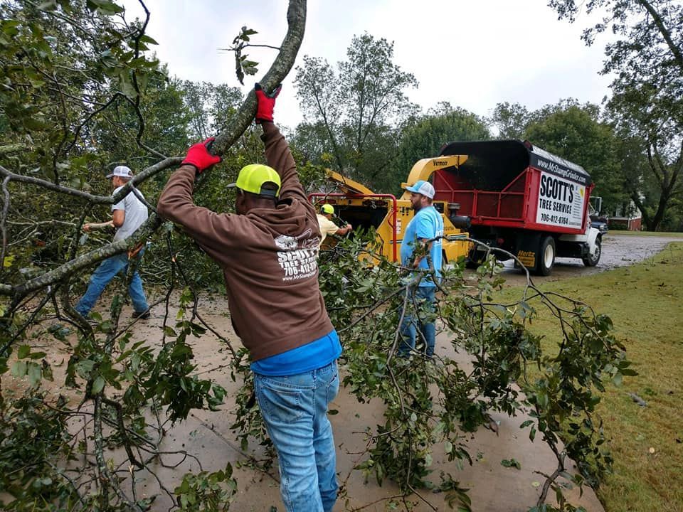 Tree service crew feeding branches into a wood chipper; outdoor setting.